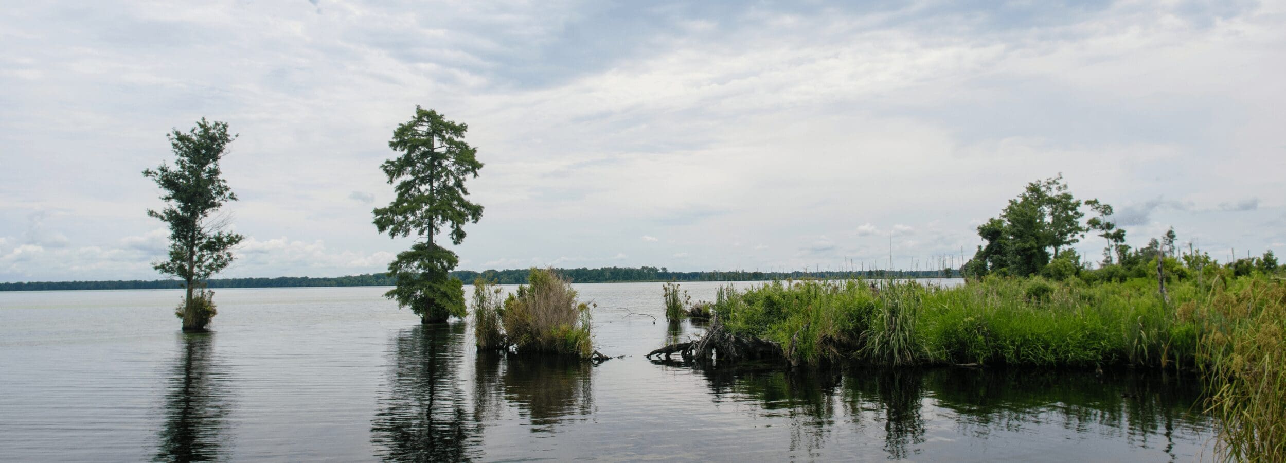 Chesapeake