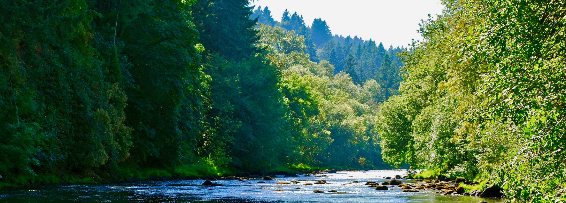 Tigard