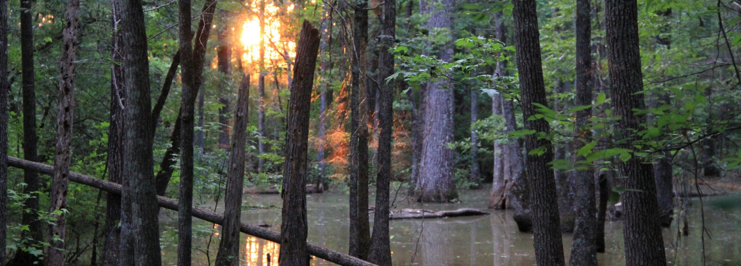Warner Robins