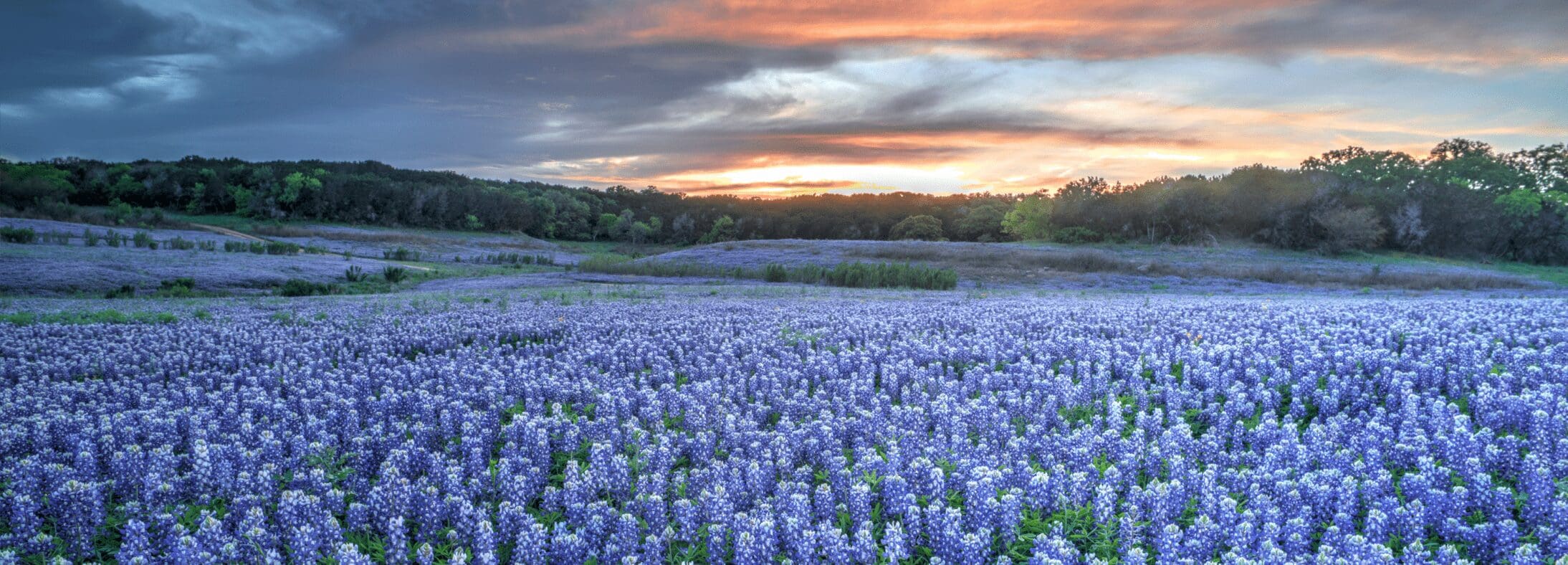 Fort Bend County