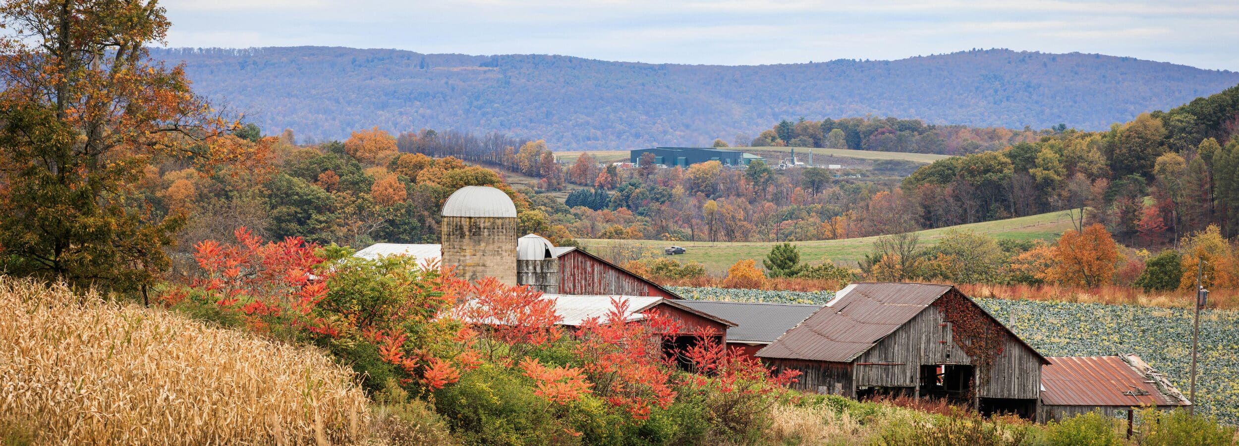 Williamsport