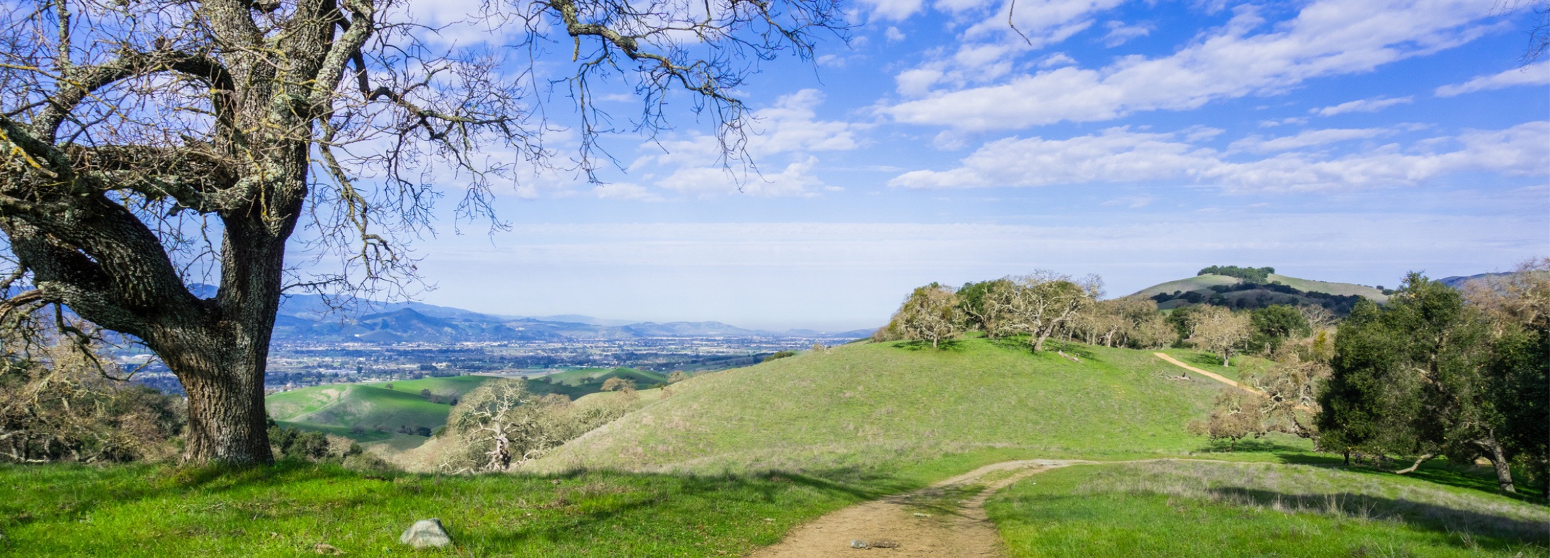 Gilroy