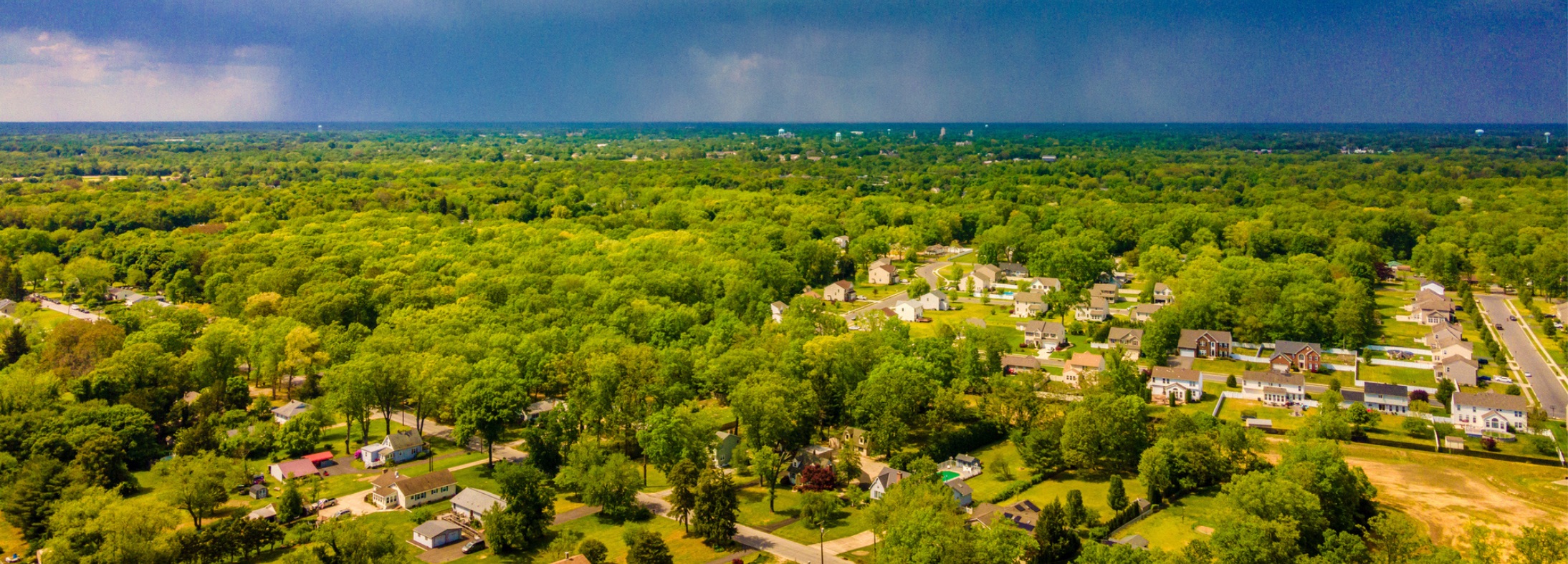 Vineland