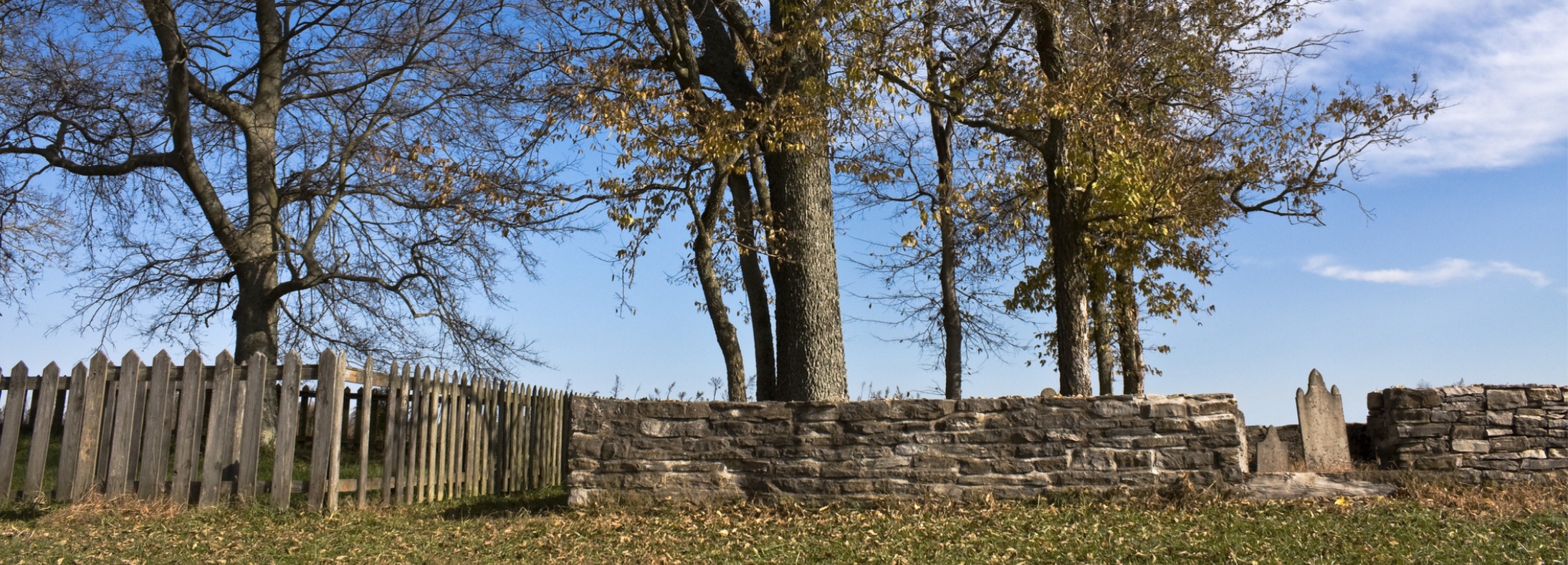 Spring Hill, TN