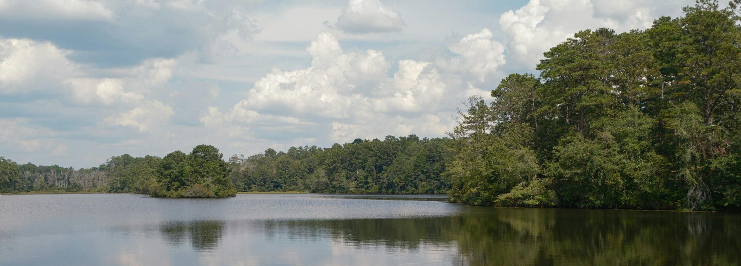 Johnston County