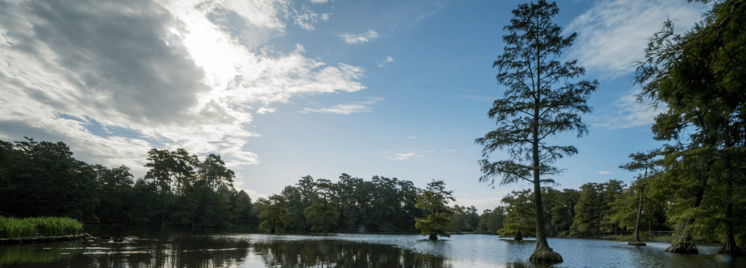 Sumter