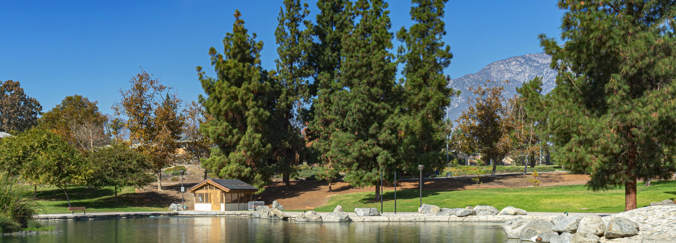 Upland