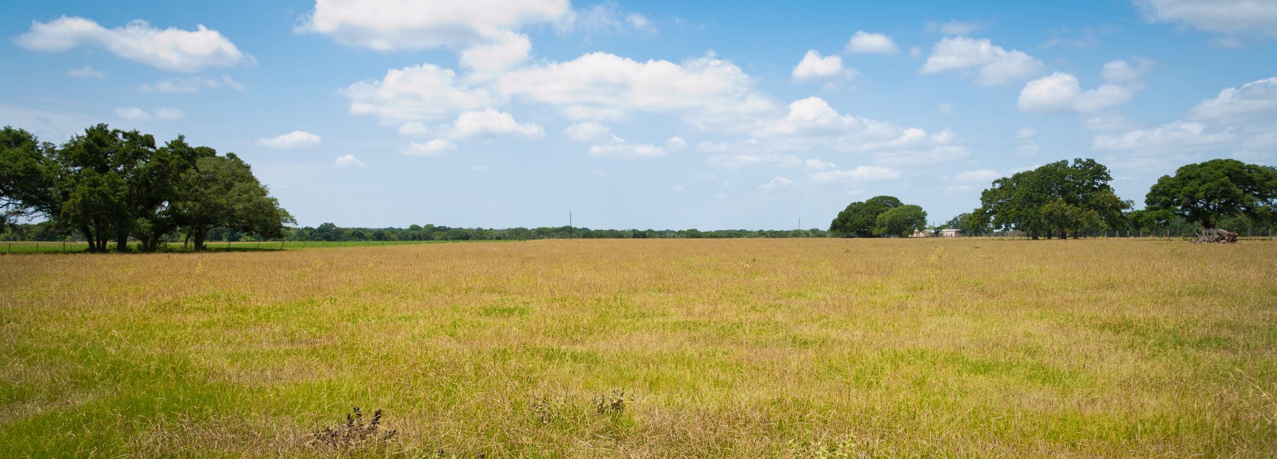 Grand Prairie