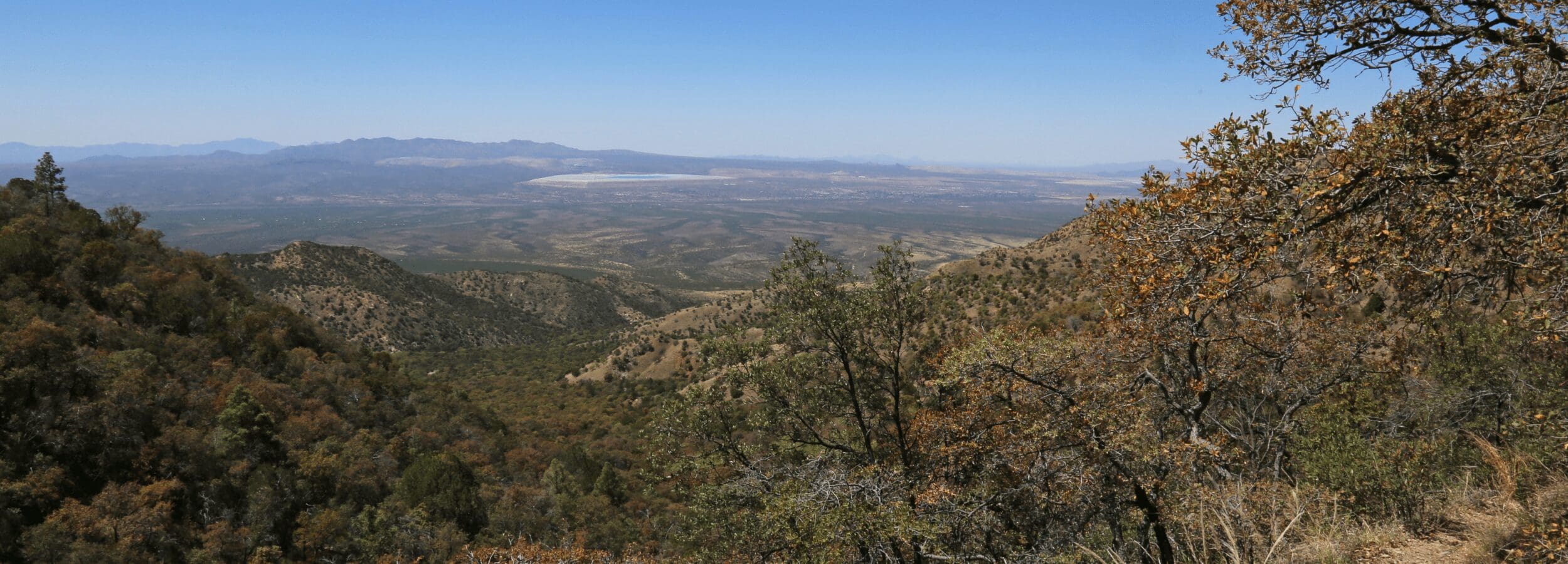 Green Valley