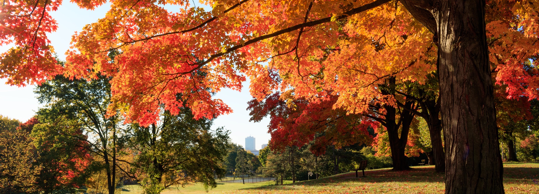 Livingston County