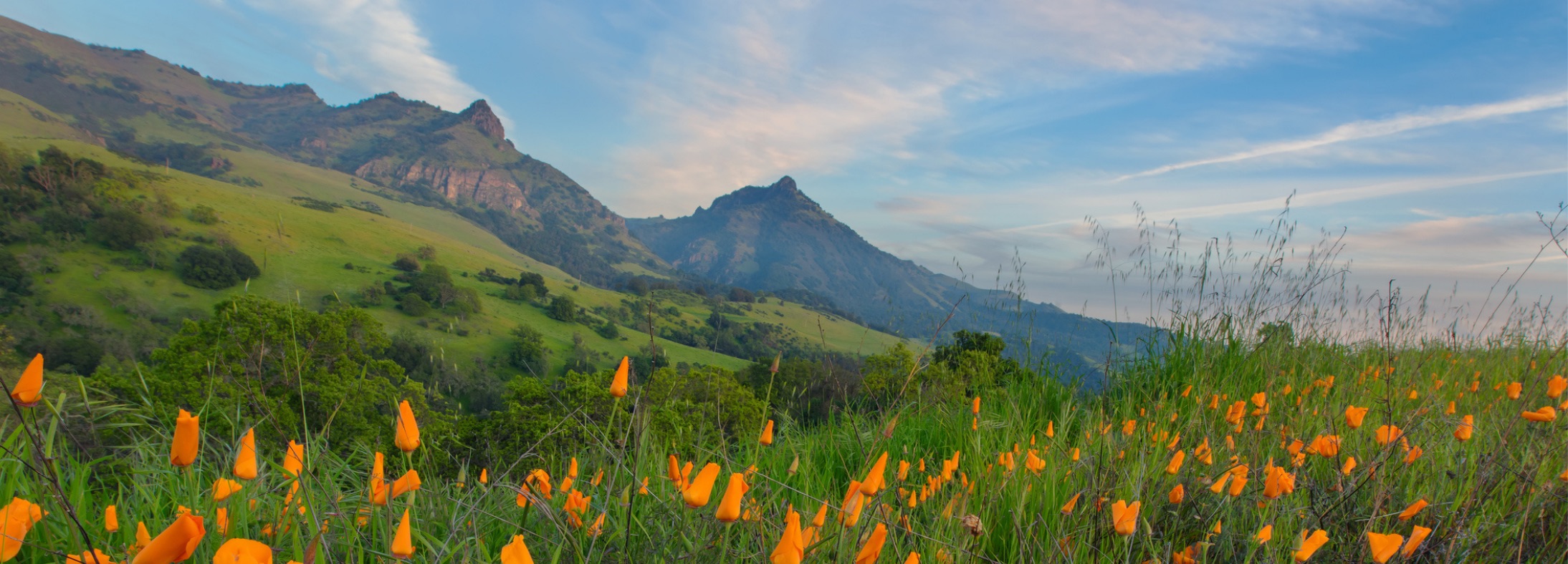 San Benito County