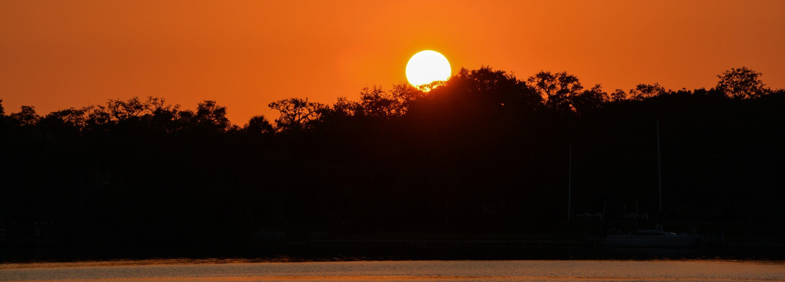 Palm Harbor