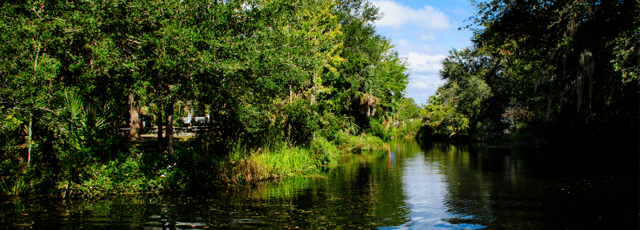 Homosassa Springs