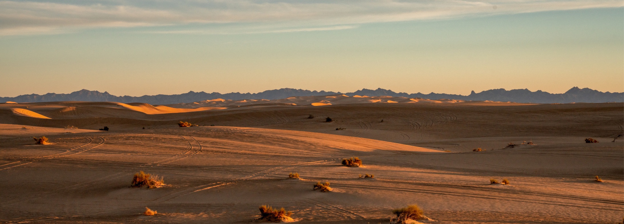 Calexico, CA
