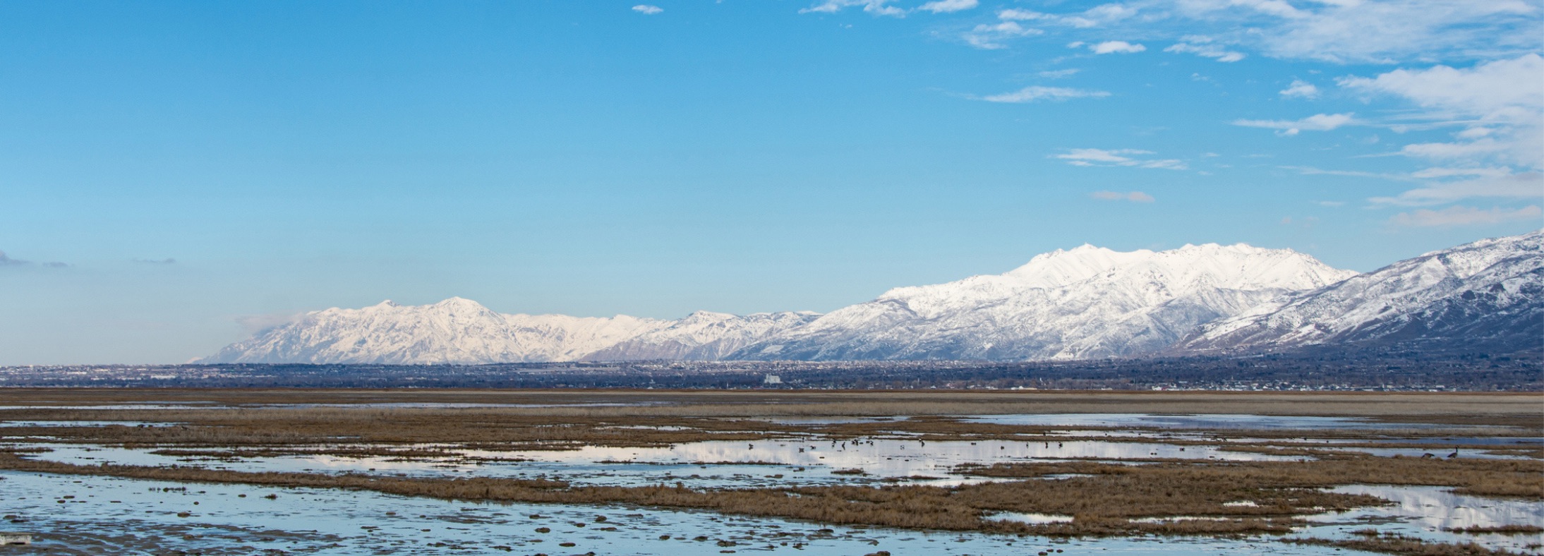 Layton, UT