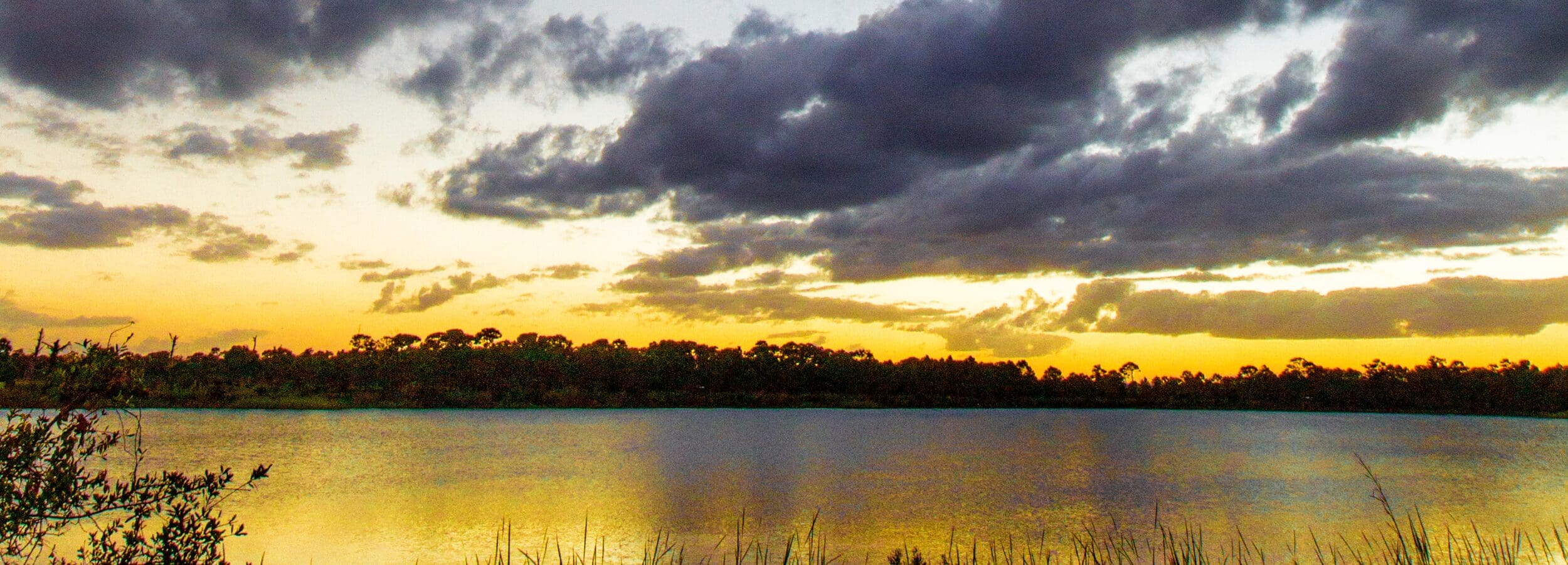Land O' Lakes
