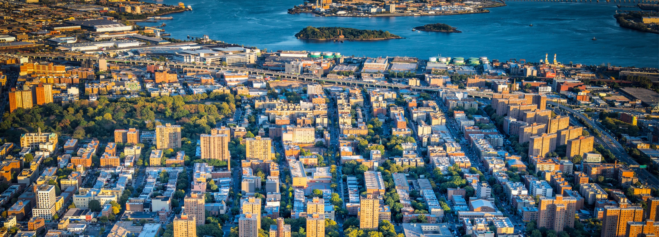 The Bronx