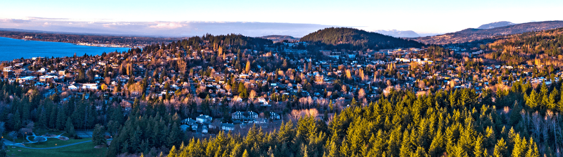 Bellingham