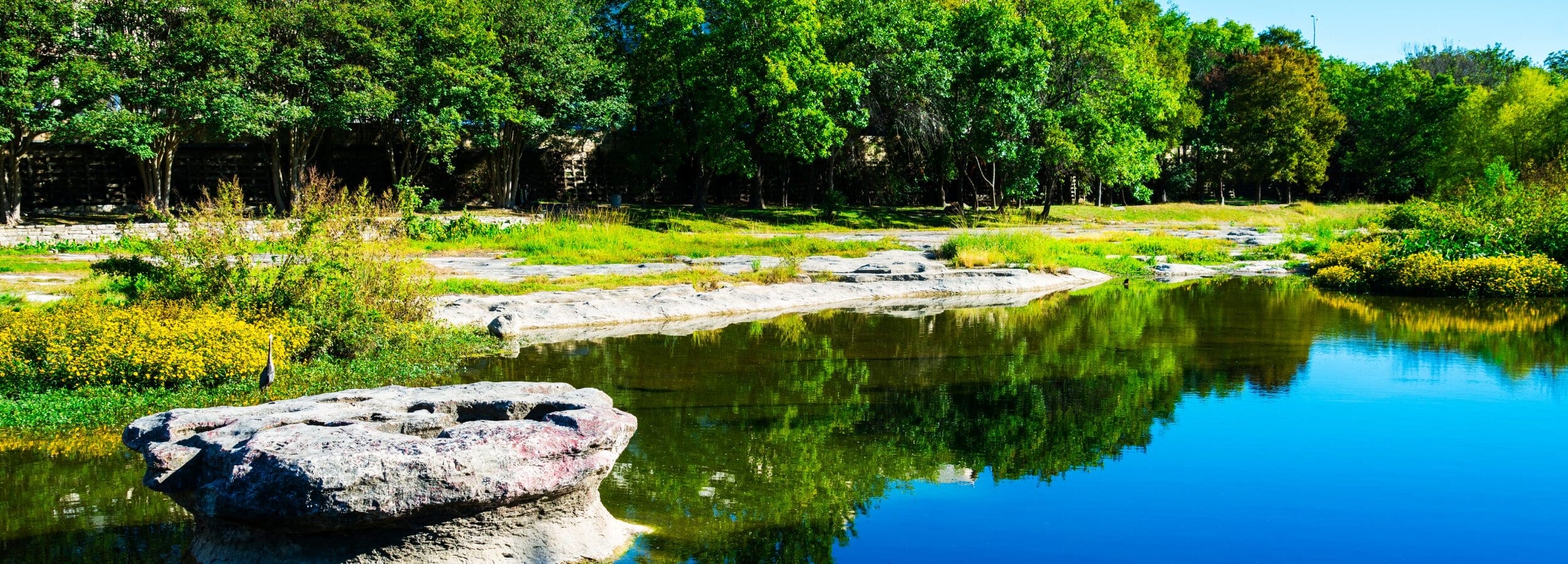 Round Rock