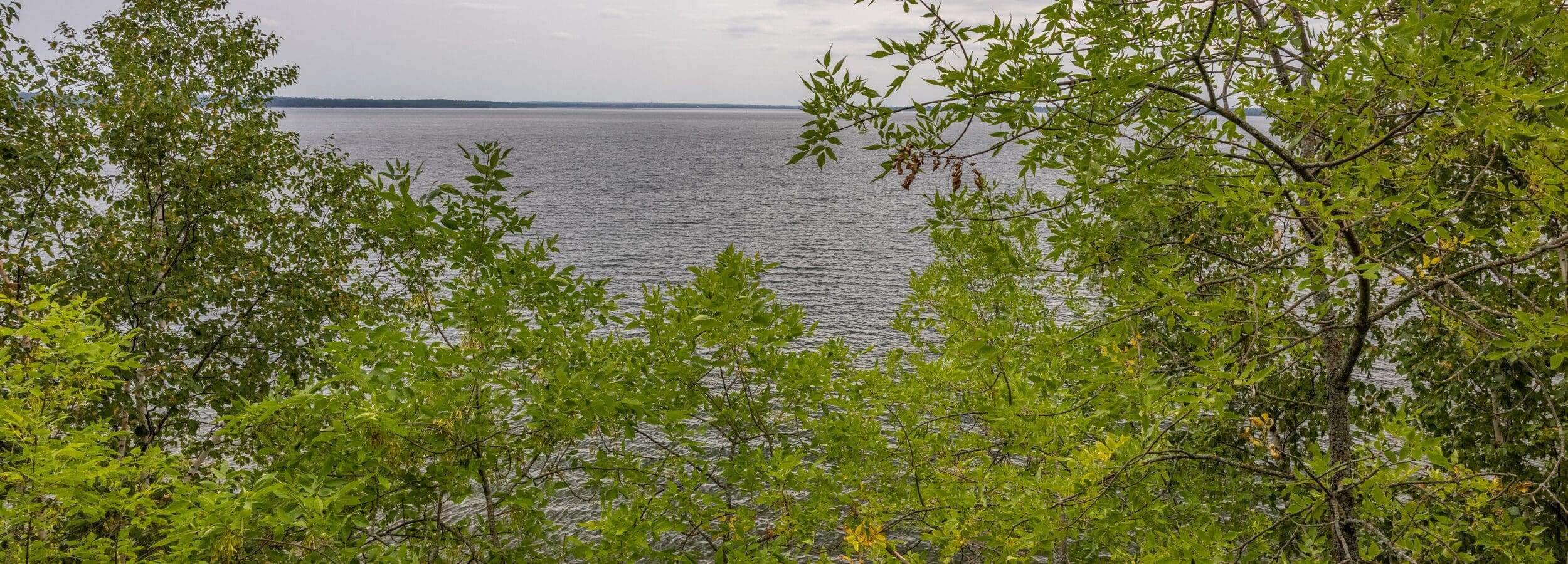 Bemidji