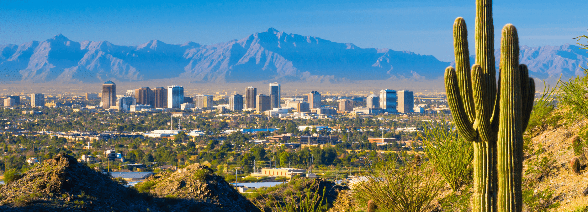 Phoenix