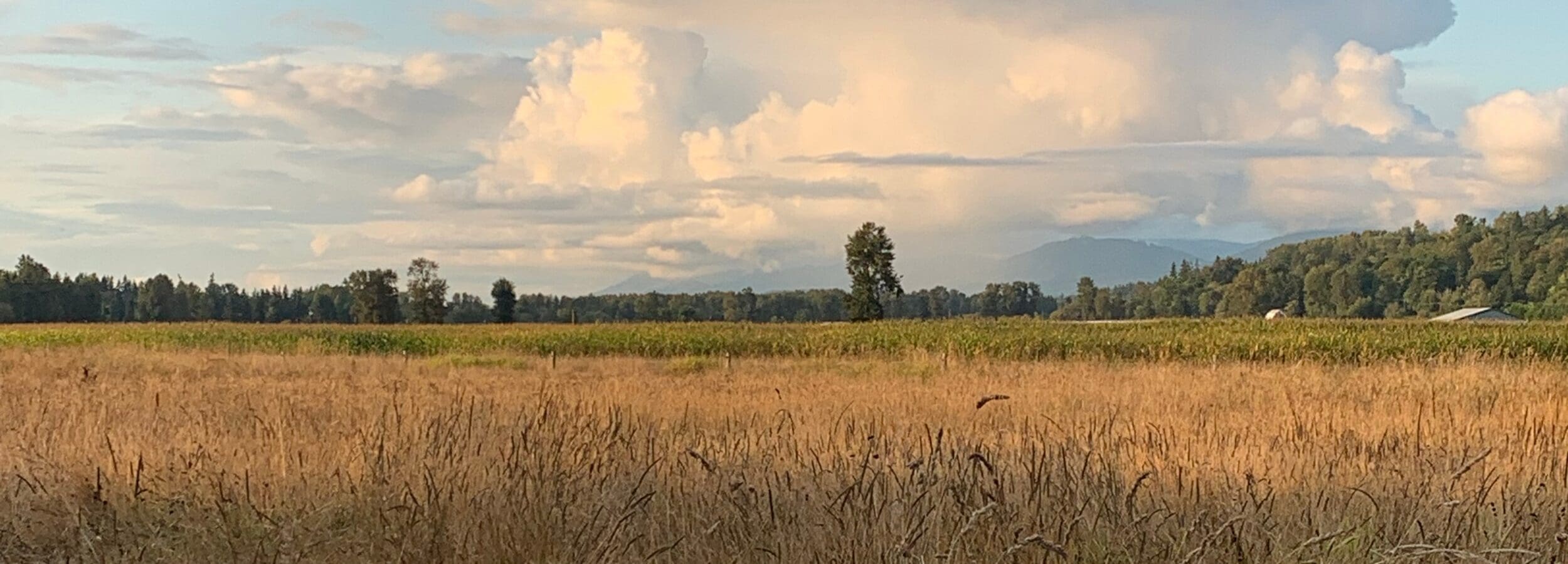 Marysville