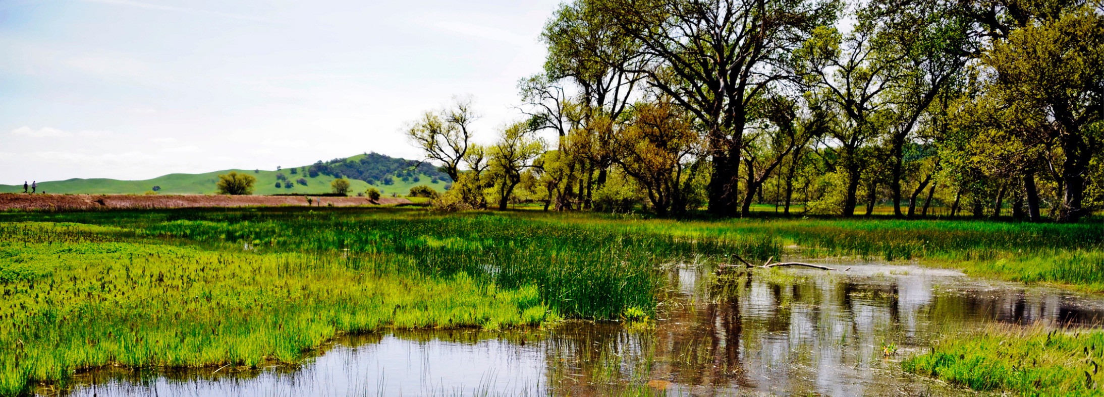 Vacaville