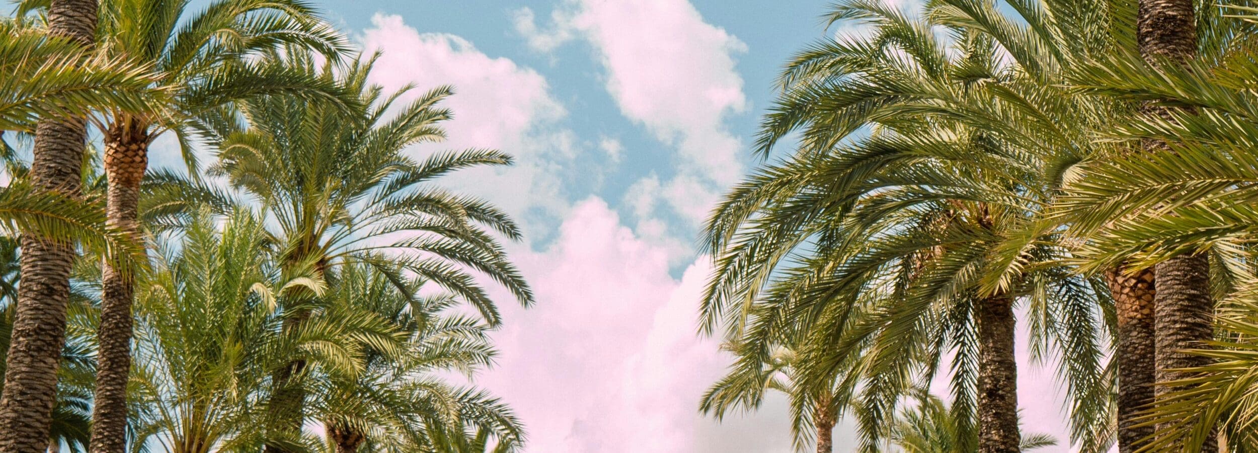 Palm Bay