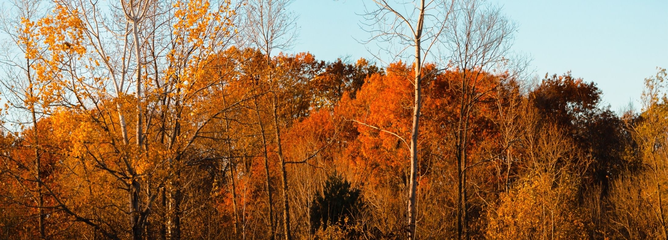 Kentwood, MI