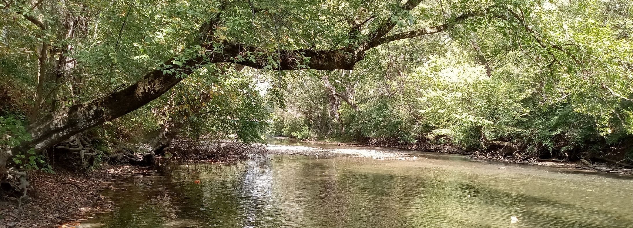 Beavercreek, OH