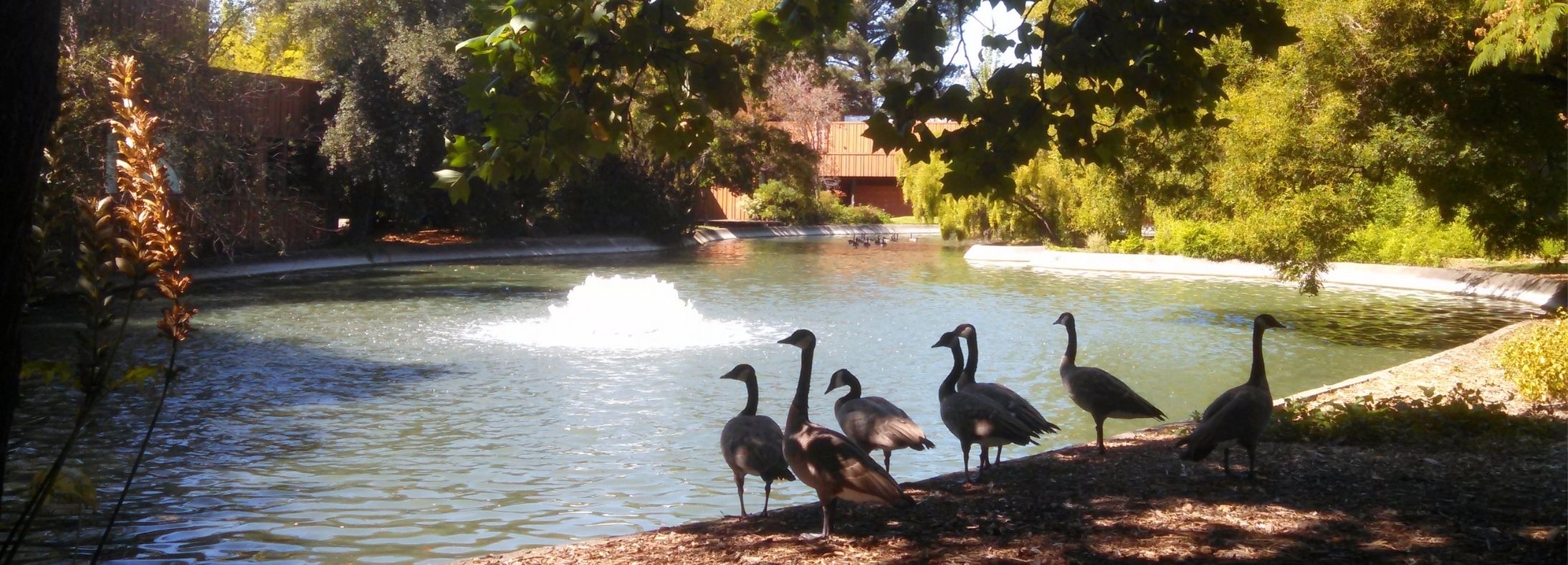 Rohnert Park, CA