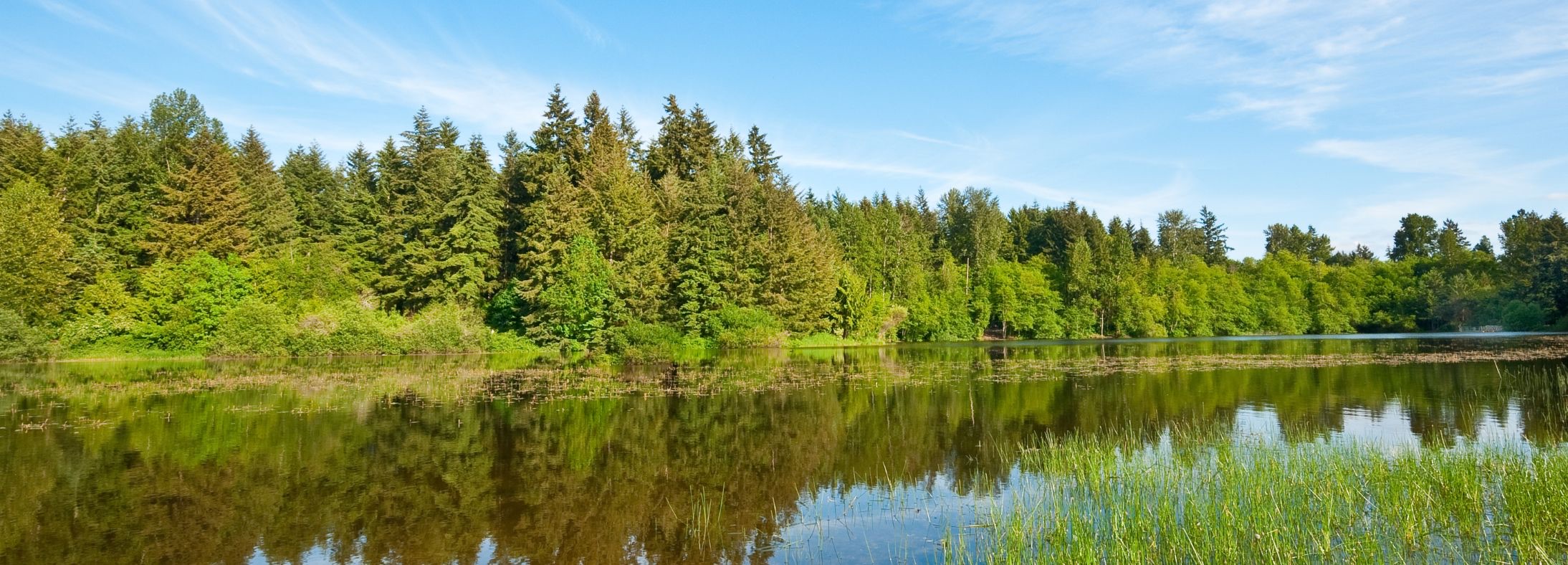 Puyallup, WA