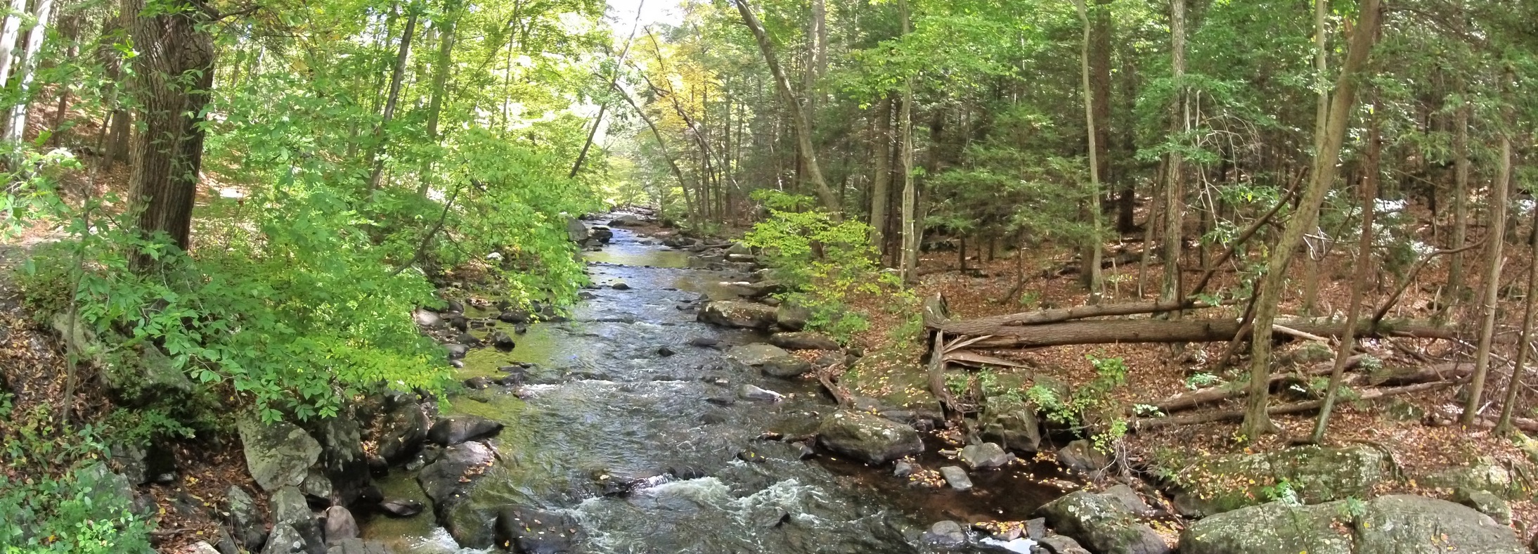 Trumbull, CT