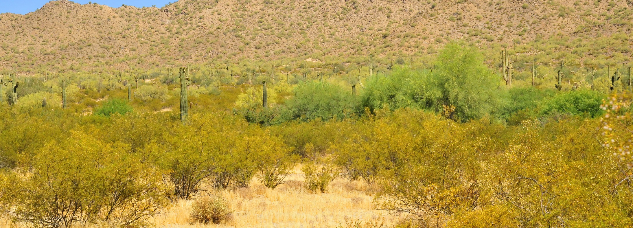 Queen Creek, AZ