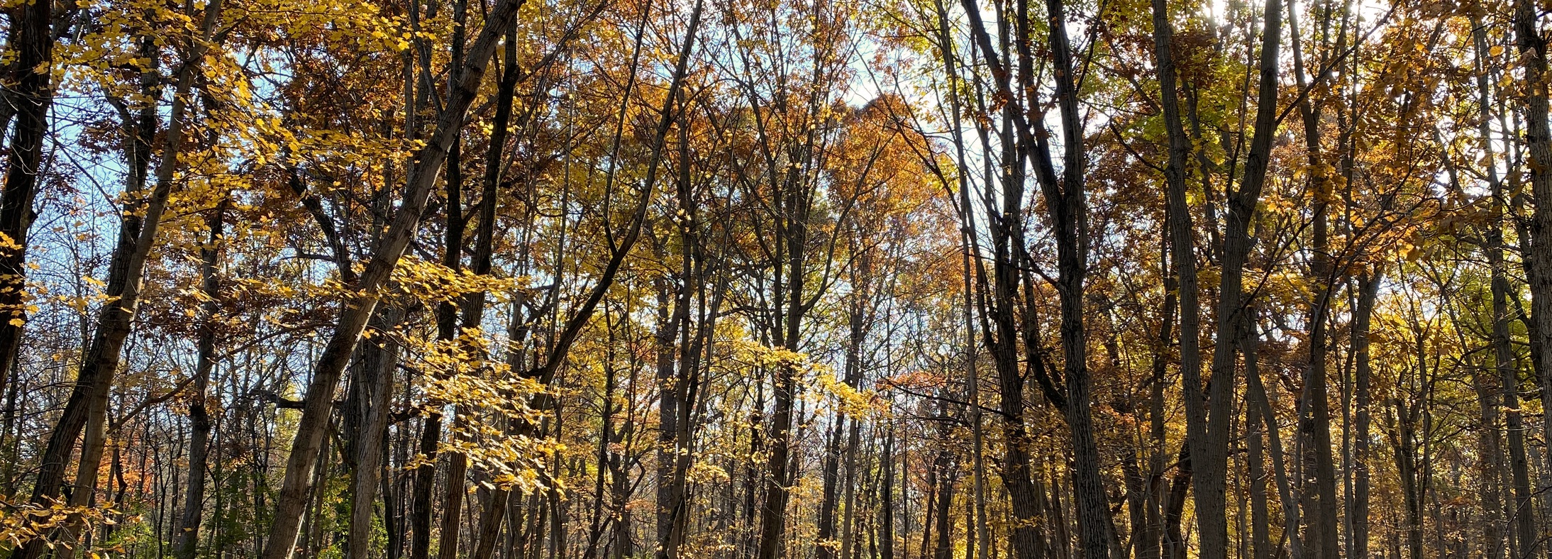 Schererville, IN