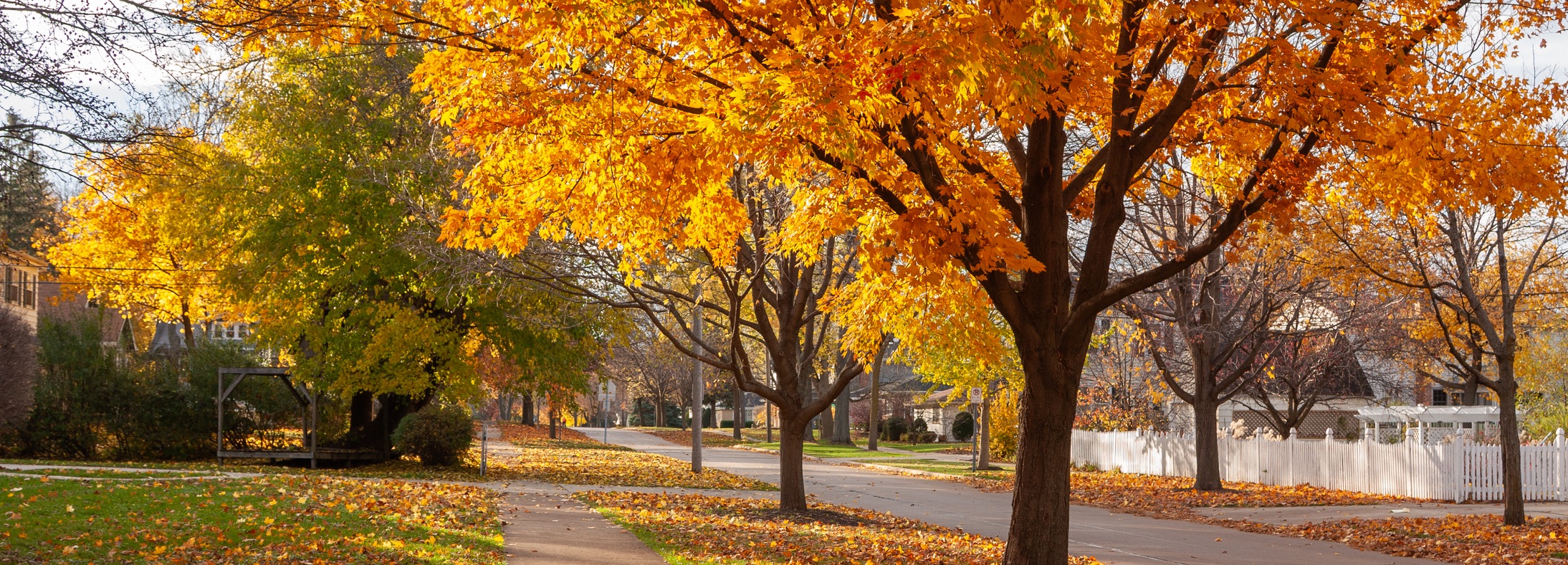 Glen Ellyn, IL