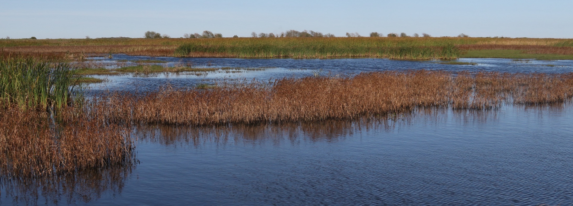 Lake Jackson