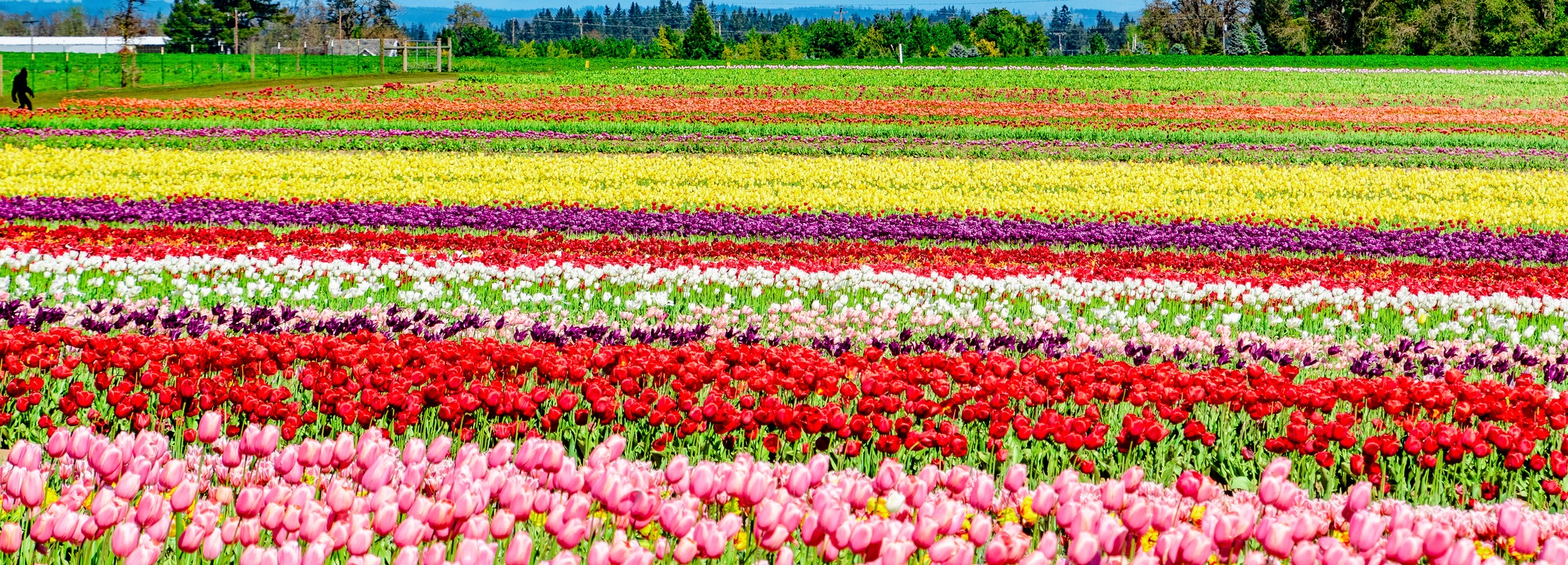 Woodburn, OR