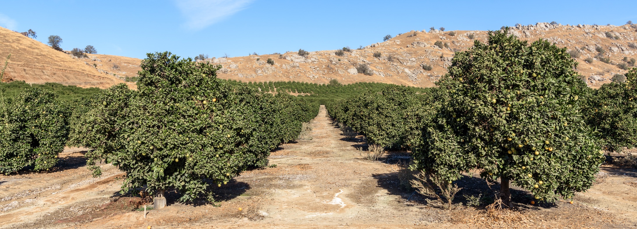 Dinuba, CA