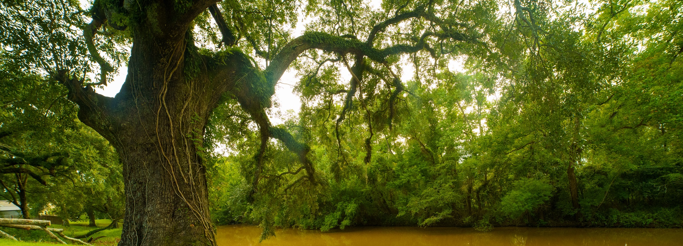 Hammond, LA