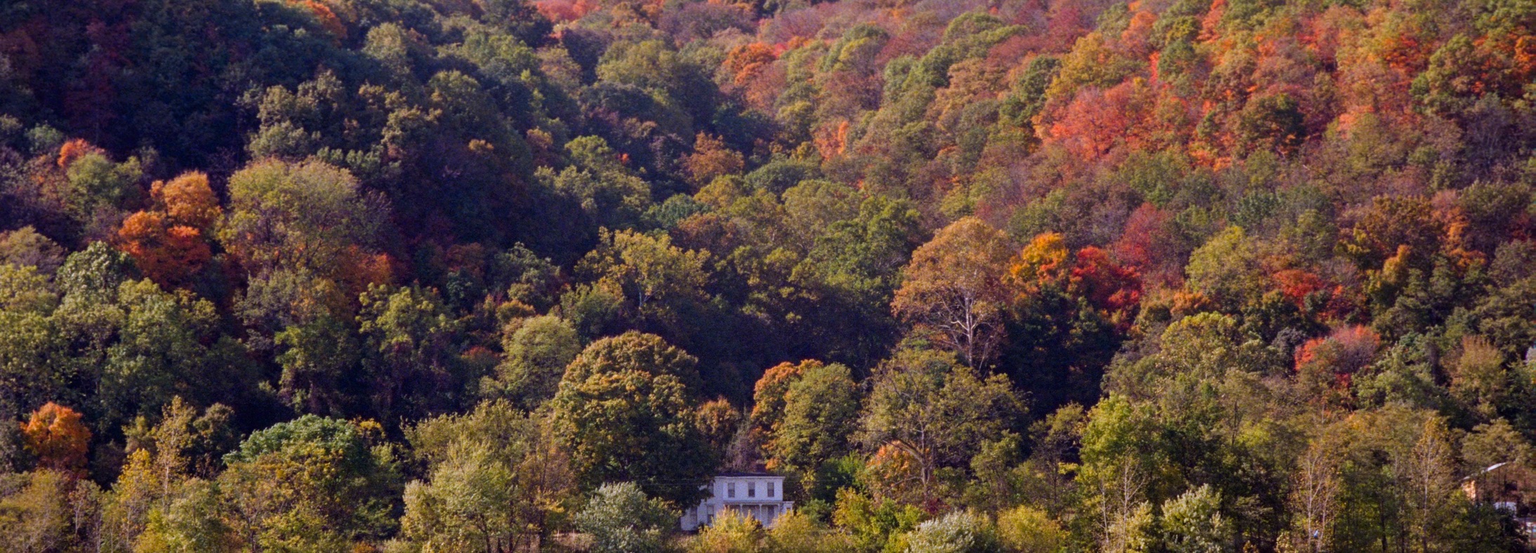 Weirton, WV