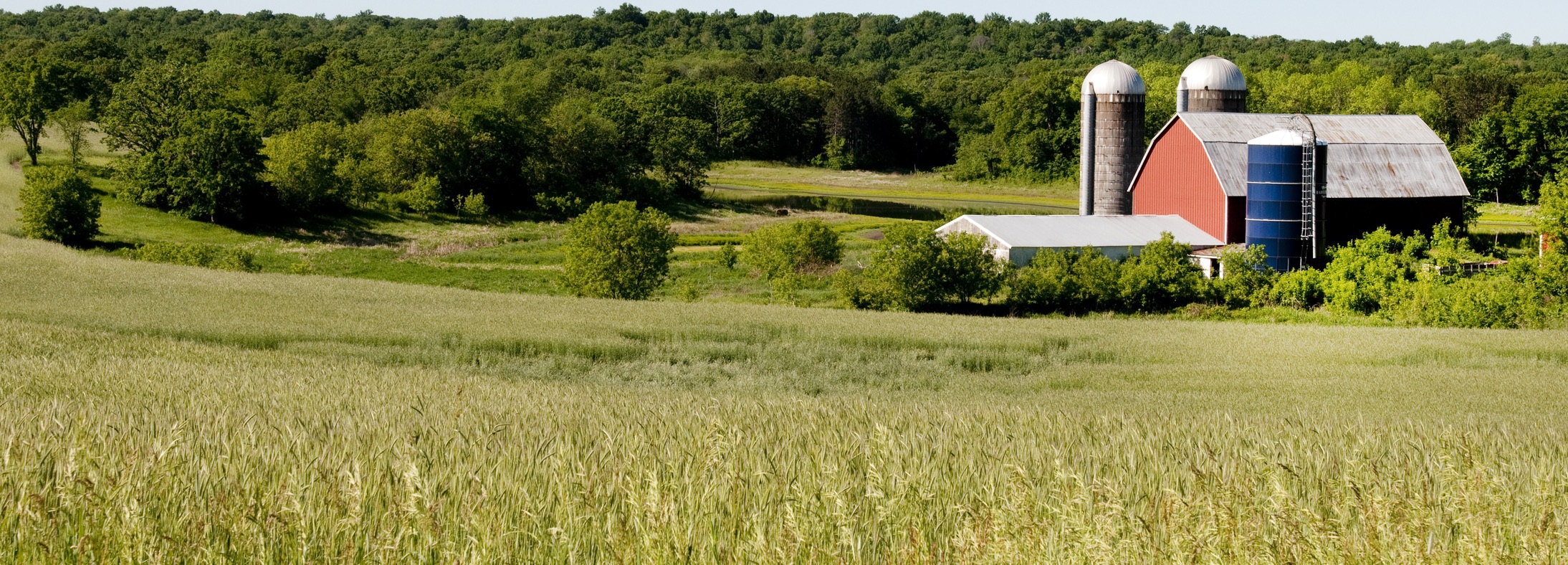 Marshfield, WI