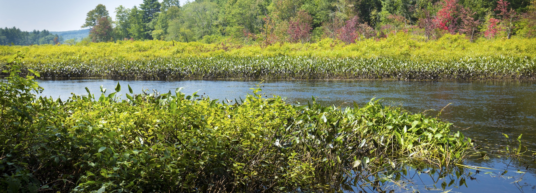 Palmer, MA