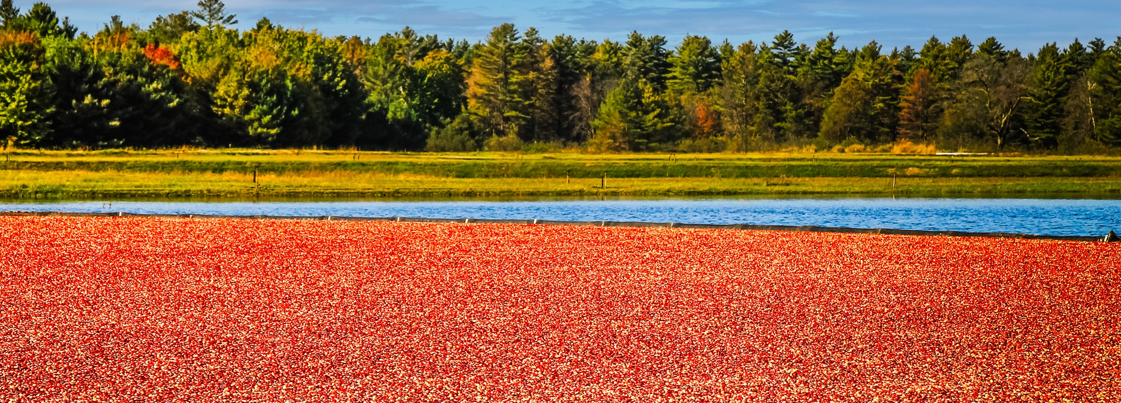 Wisconsin Rapids, WI