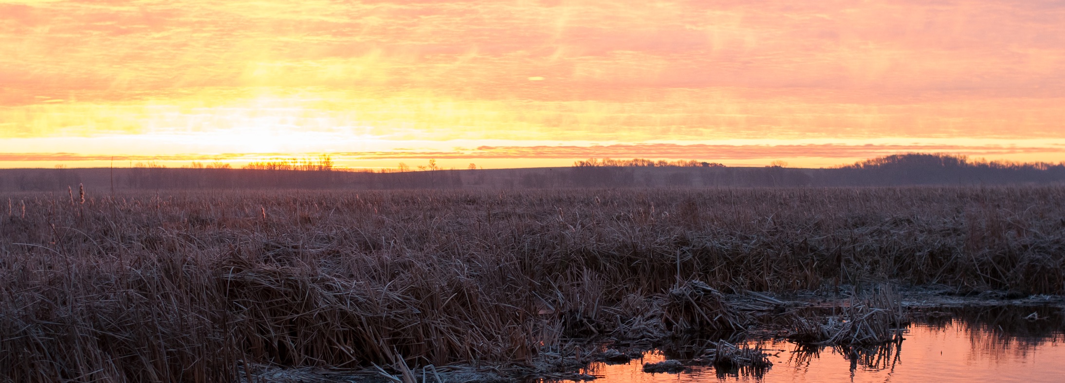 Beaver Dam, WI