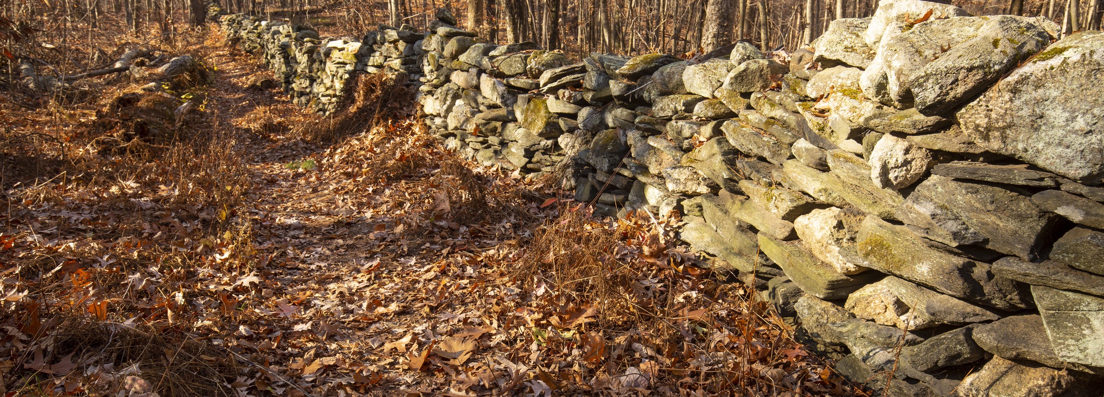 Ledyard, CT
