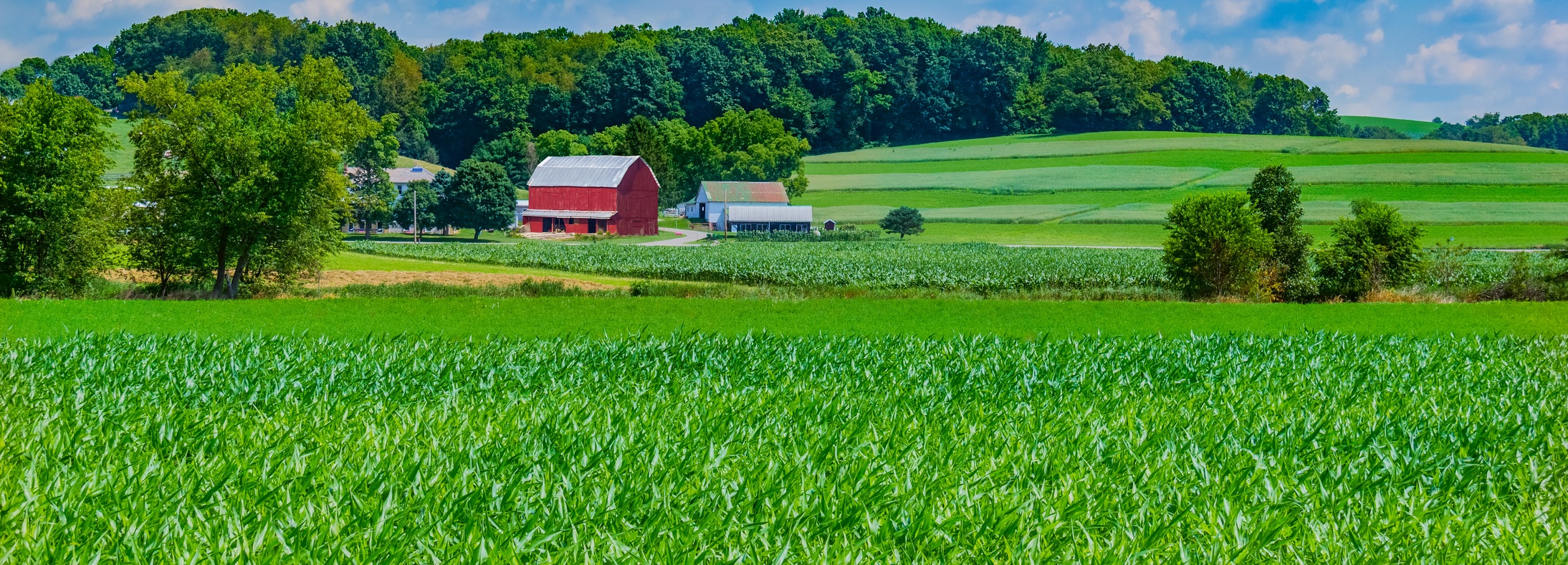 Connersville, IN