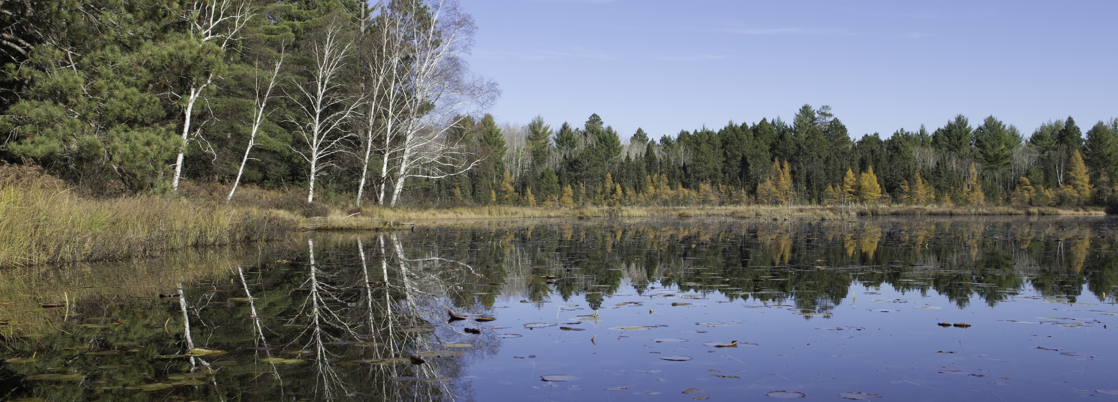 Plover, WI