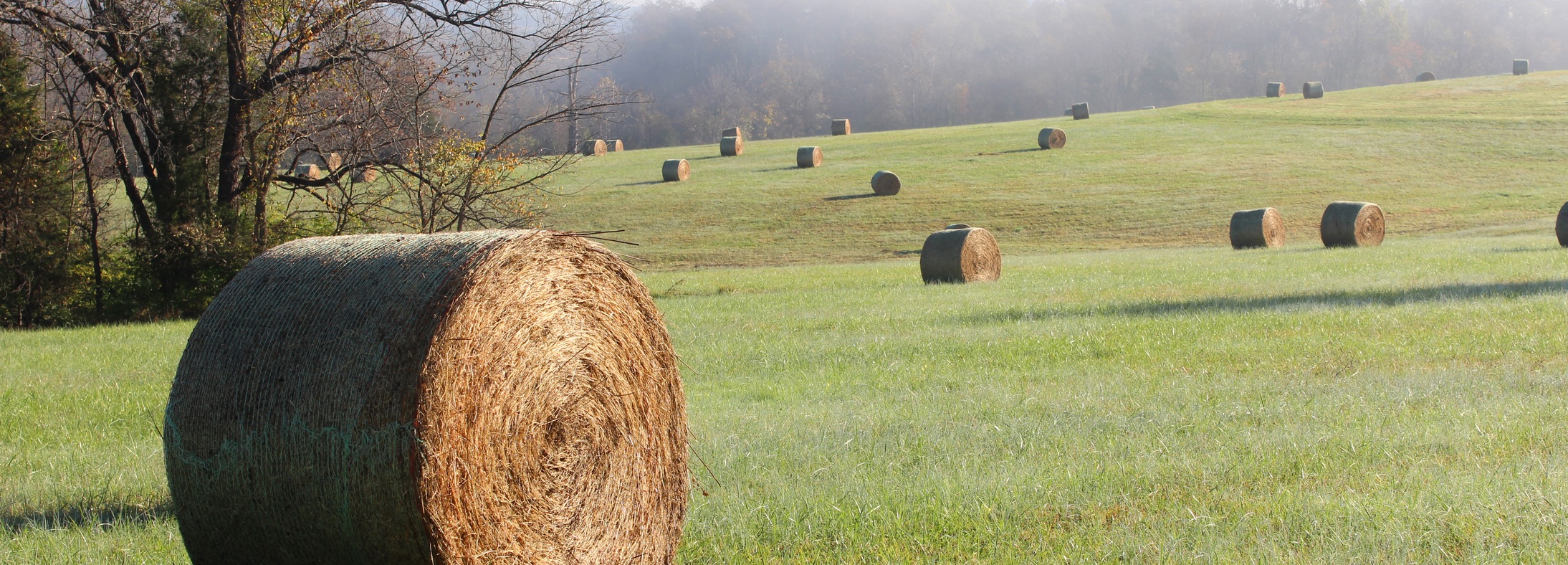 Monett, MO