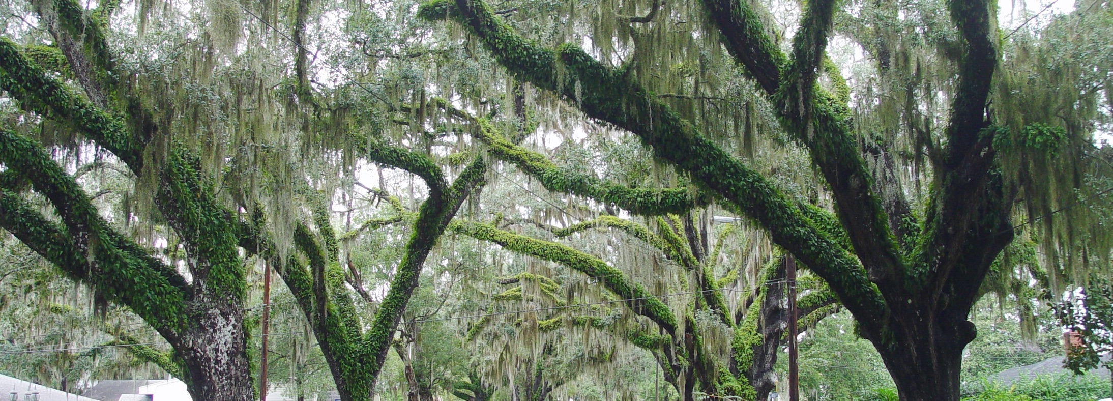 Brooksville, FL